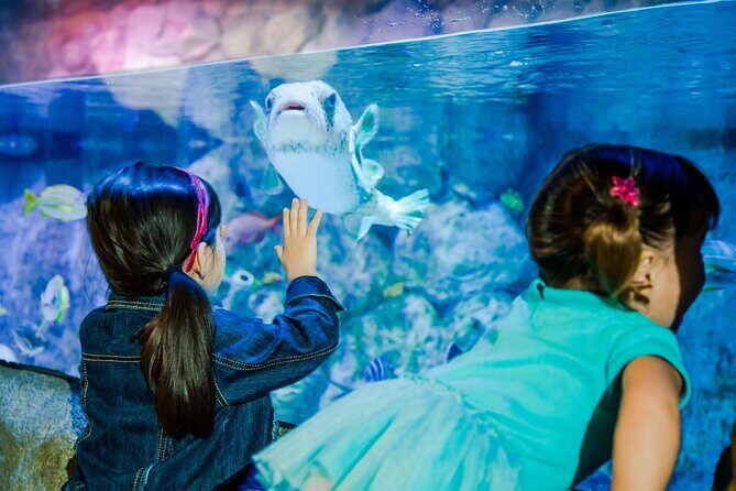 SEA LIFE San Antonio Admission Ticket - Practical Information