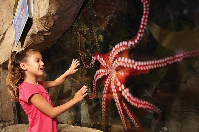 SEA LIFE San Antonio Admission Ticket - Final Thoughts: Is It Worth It?