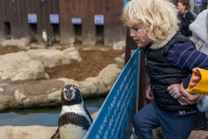 Sea Life Scarborough - Introduction