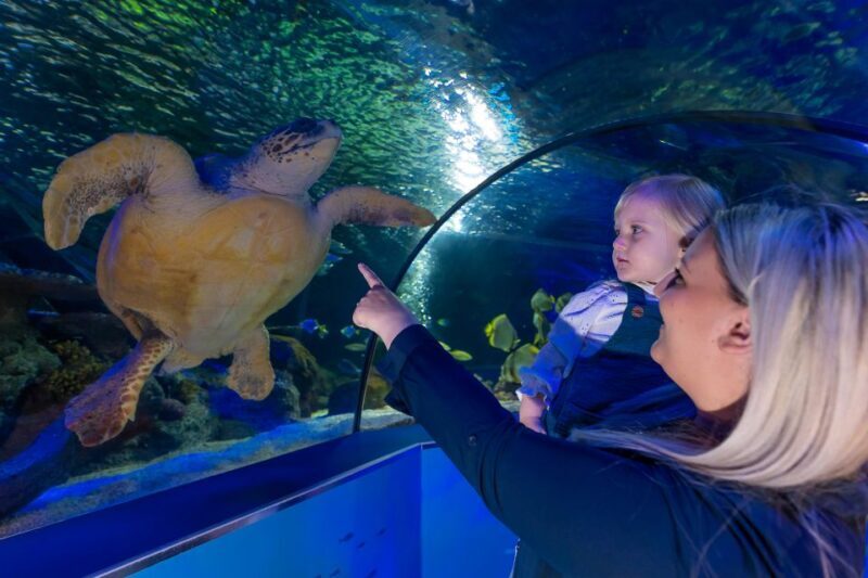 Sea Life Scarborough - Visitor Experience and Reviews
