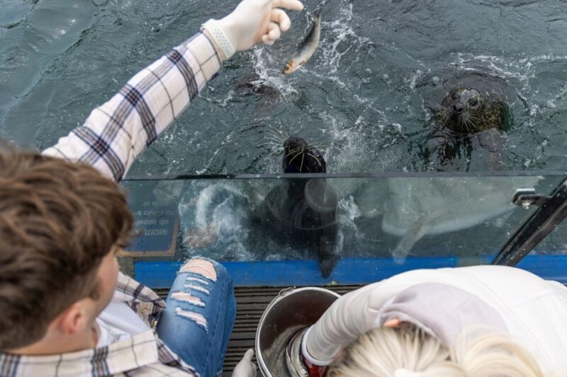 Sea Life Scarborough - Practical Information