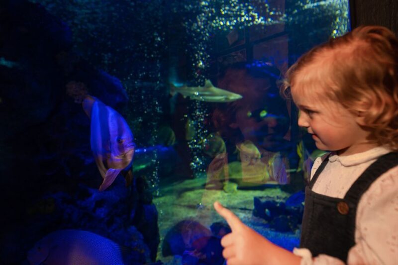 Sea Life Scarborough - Who Will Love This Experience?