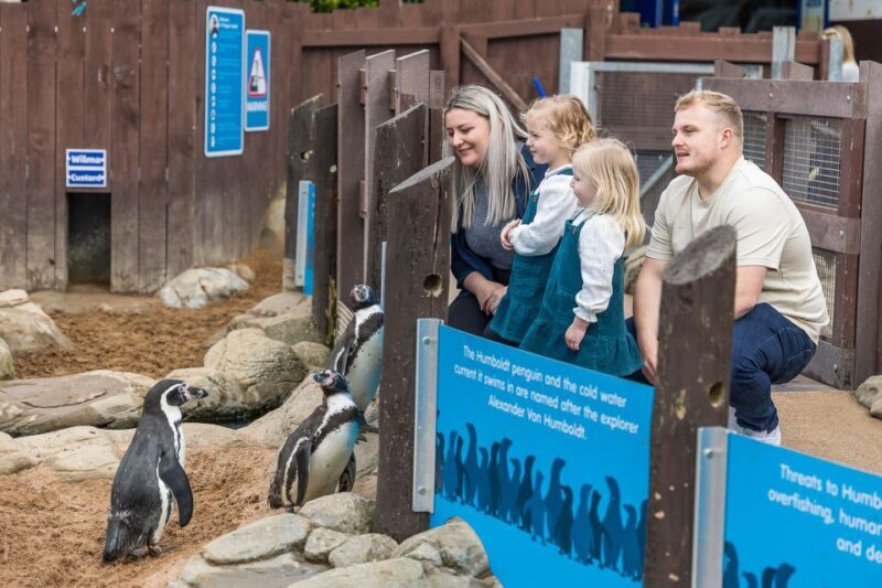 Sea Life Scarborough - FAQs