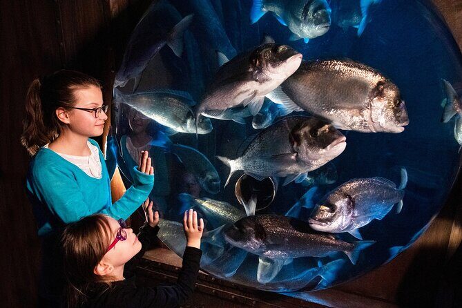 SEA LIFE Speyer Admission Ticket - Authentic Perspectives from Visitors