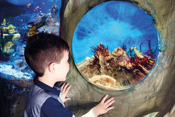 SEA LIFE Timmendorfer Strand Admission Ticket - FAQs