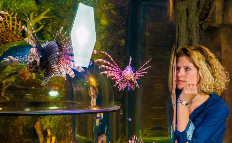 SEA LIFE Timmendorfer Strand Ticket - FAQs