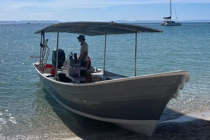 Sea Lion Snorkel Adventure at Espíritu Santo Island - An Introduction to the Tour