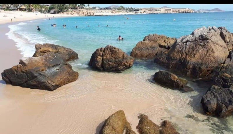 Sea of Cortez: Unforgettable Snorkeling Experience - The Experience in Detail