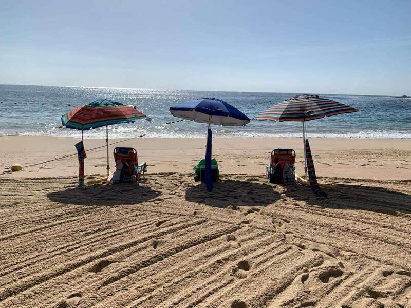 Sea of Cortez: Unforgettable Snorkeling Experience - What Travelers Are Saying