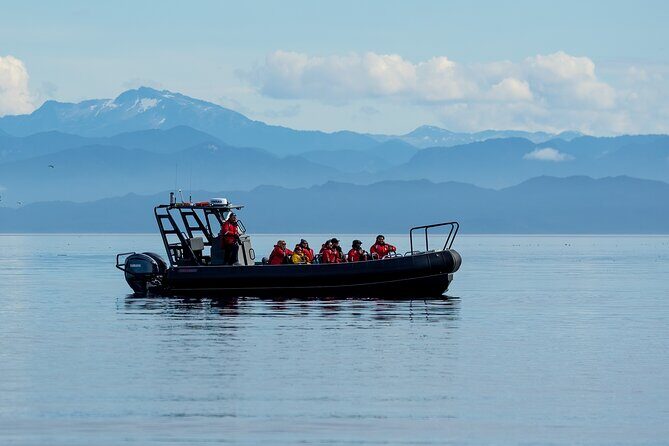 Sea Otter and Whale Watching Tour on Northern Vancouver Island - Who Will Love This Tour?