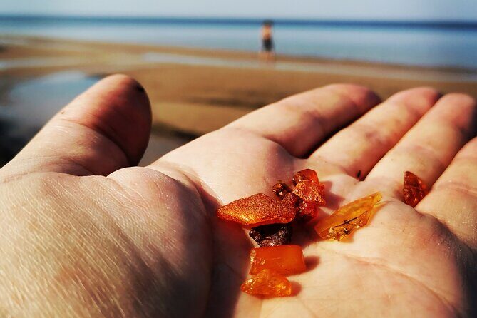 Sea Resort Jurmala near Riga Private Tour - Who Will Love This Tour?