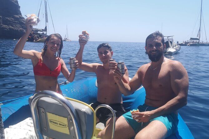 SEA SAFARI Dolphins, Whales, 3h speedboat DISCOVERY-TOUR - Tenerife Sea Safari: Dolphins, Whales, and Speedboat Adventure