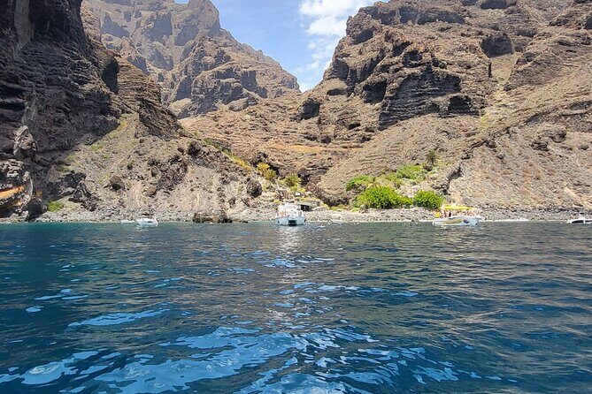 SEA SAFARI Dolphins, Whales, 3h speedboat DISCOVERY-TOUR - An In-Depth Look at the Tenerife Sea Safari