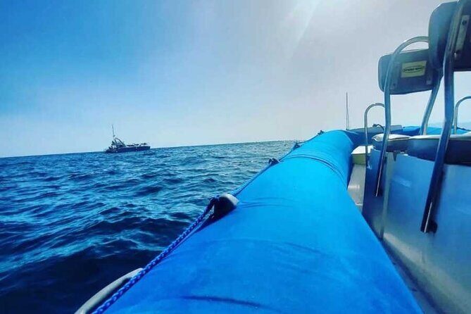 SEA SAFARI, Dolphins, Whales, snorkeling, snack and drink, 2 h speedboat - An In-Depth Look at the Sea Safari Experience