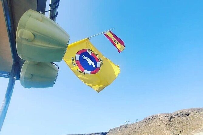 SEA SAFARI Dolphins,Whales, snorkeling, snack, drink, 3h private - FAQs