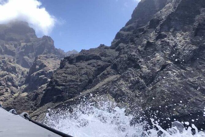 SEA SAFARI Dolphins,Whales, snorkeling, snack, drink, 3h private - Final Thoughts