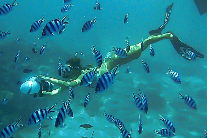 Sea Scooter Snorkel Tour - Lagoon Discovery : Wrecks, Coral Gardens and Tropical Fishies - Key Points