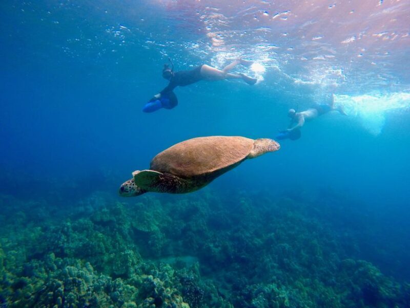 Sea Scooter Snorkeling Guided Tour - Wailea Beach - Final Thoughts: Is It Worth It?