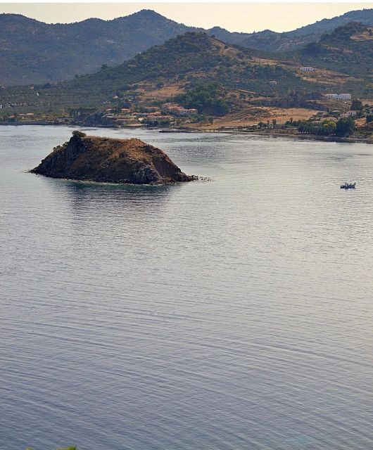 Sea, Sun and Swimming Cruise from Mytilene - Authentic Insights from Reviews