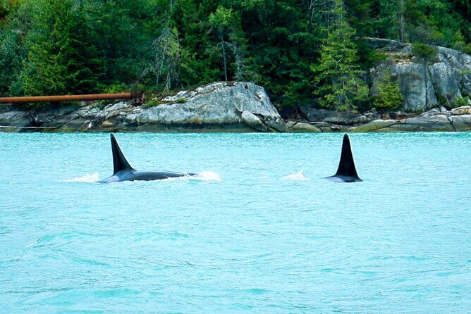 Sea to Sky Afternoon Sail - What to Expect Onboard