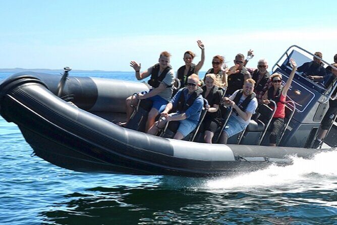 Sea trip from Villefranche sur Mer to Mala with swimming - The Experience: A Deep Dive into the Tour