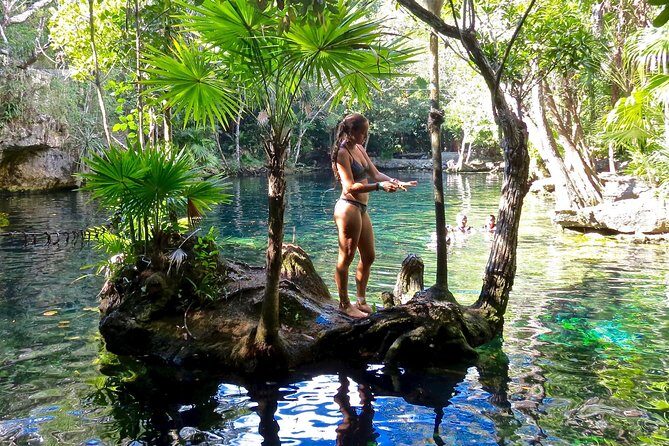 Sea turtle and cenotes half day Snorkeling Tour from Riviera Maya - FAQ