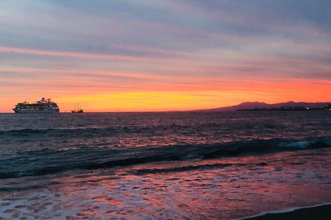 Sea Turtle Conservation Release Puerto Vallarta - The Real Experience: What Travelers Say