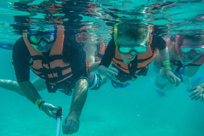 Sea Turtle Snorkeling Ecofriendly Tour from Cancun & Riviera Maya - Is This Tour Worth the Price?