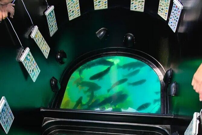 Sea View Glass Bottom Boat Excursion - The Itinerary in Detail