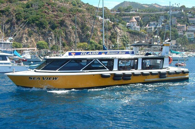 Sea View Glass Bottom Boat Excursion - Who Should Consider This Tour?