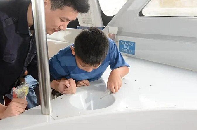 Sea View Glass Bottom Boat Excursion - FAQ about the Sea View Glass Bottom Boat Excursion