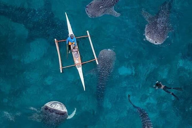 Seafood Extravaganza - Who Would Love This Experience?