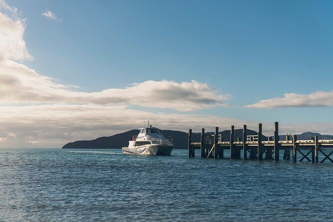 Seafood Odyssea Marlborough Sounds Cruise from Picton - Who Will Enjoy This Tour?