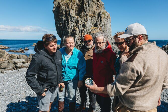 Seal Coast Safari - Exclusive access to Wellington's secret coast - Why This Tour Is Worth the Price