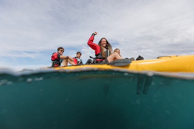 Seal Kayaking Adventure in Kaikoura - Who Will Love This Tour?