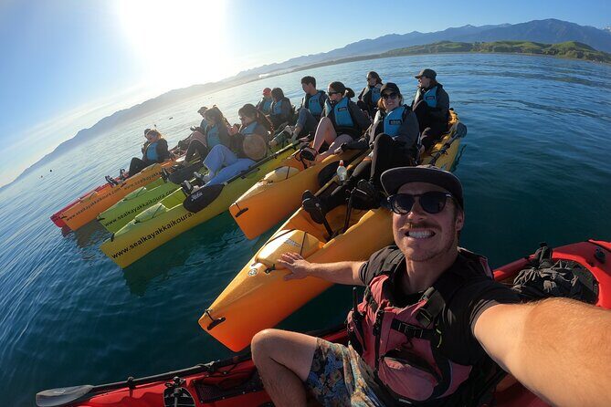 Seal Kayaking Adventure in Kaikoura - FAQ