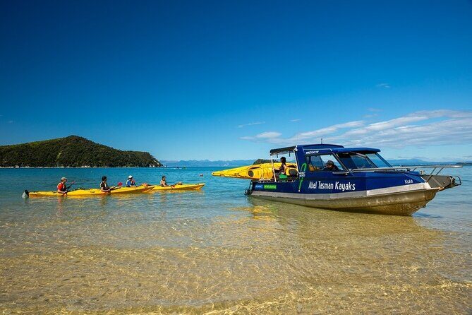 Seal Sanctuary Tour - Guided Kayaking - New Zealand - FAQ