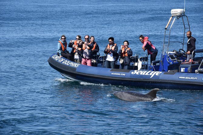 Sealife Sea Safari, Dolphin Watching with Marine Biologist's Lagos - How It Feels to Be on the Water