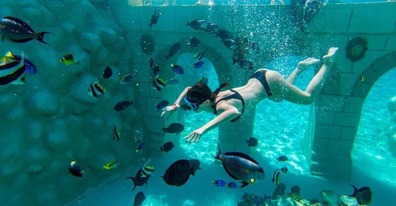 Seapark: Swimming in Pool Aquarium with Authentic Creatures - FAQ