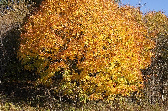 Seascape Excursions of Nova Scotia - Final Thoughts