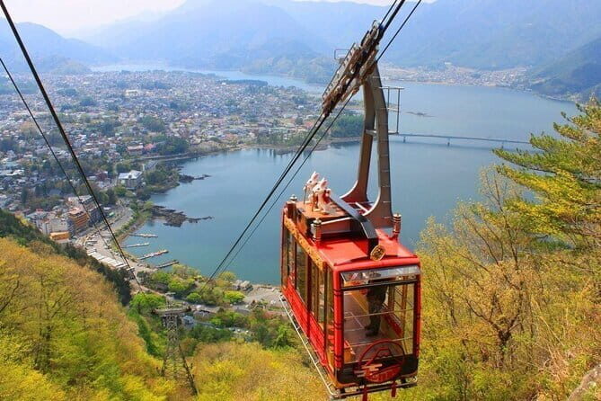 Seasonal Mt. Fuji Scenic Views, Fruit Picking and Ropeway Ride! - Key Points