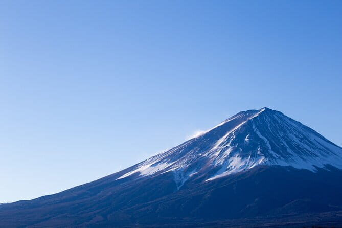 Seasonal Mt. Fuji Scenic Views, Fruit Picking and Ropeway Ride! - A closer look at what makes this tour special