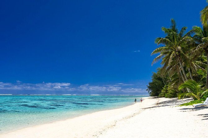 Seat in Coach Transfer from Rarotonga Airport to Hotel - What to Expect: The Experience in Detail