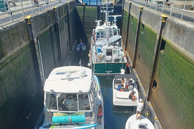 Seattle 2 Hour City Tour - FAQ