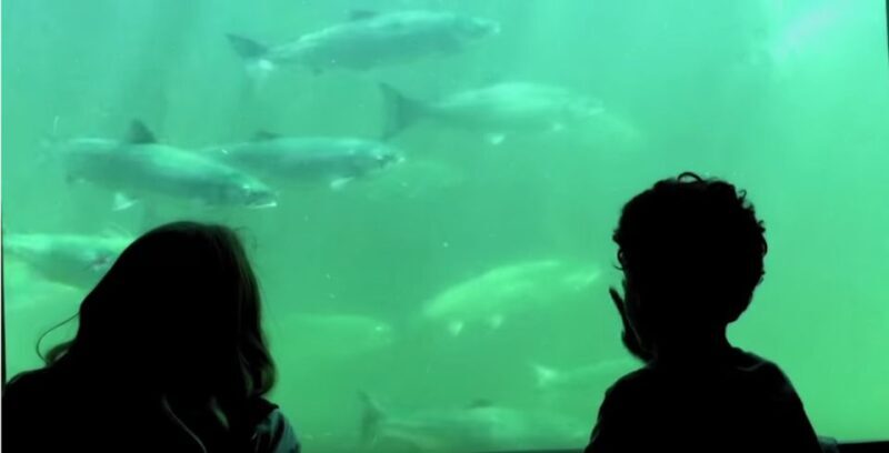 Seattle: 3 Hour Emerald City Bike Tour - What to Expect from the Tour