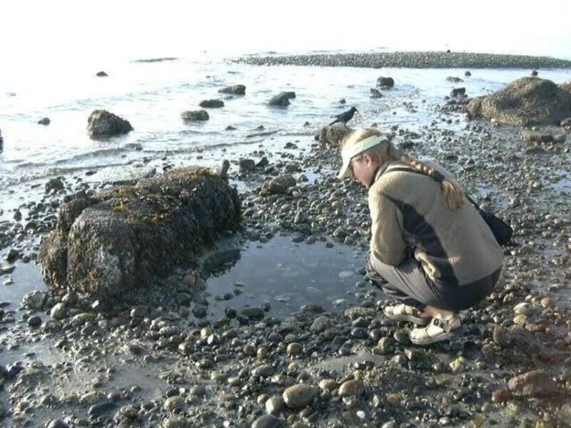 Seattle: Alki Lighthouse Sea Kayak Tour - Who Will Love This Tour?