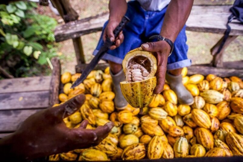 Seattle: Chocolate Tour with Tastings - Key Points