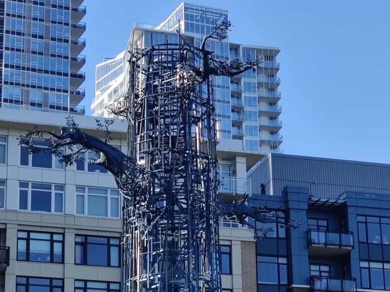 Seattle: City's Longest Historic & Cultural Walking Tour - Key Points