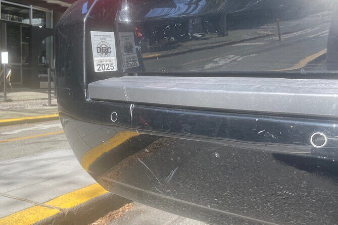 Seattle Cruise Port or Airport Private Transfer - What to Expect from a Seattle Private Transfer