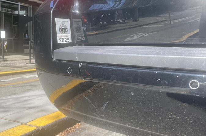 Seattle Cruise Port or Airport Private Transfer - Why Choose This Private Transfer?